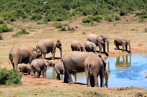 long-haul destination - South Africa