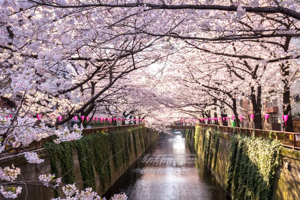 9 Unique Family Easter Breaks Around The World