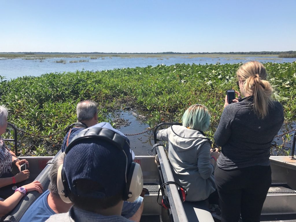 Airboat Ride