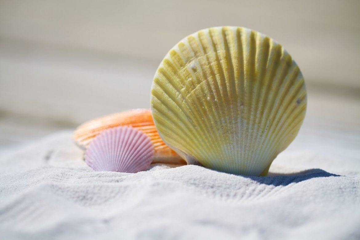Coastal vibe for less with Aldi