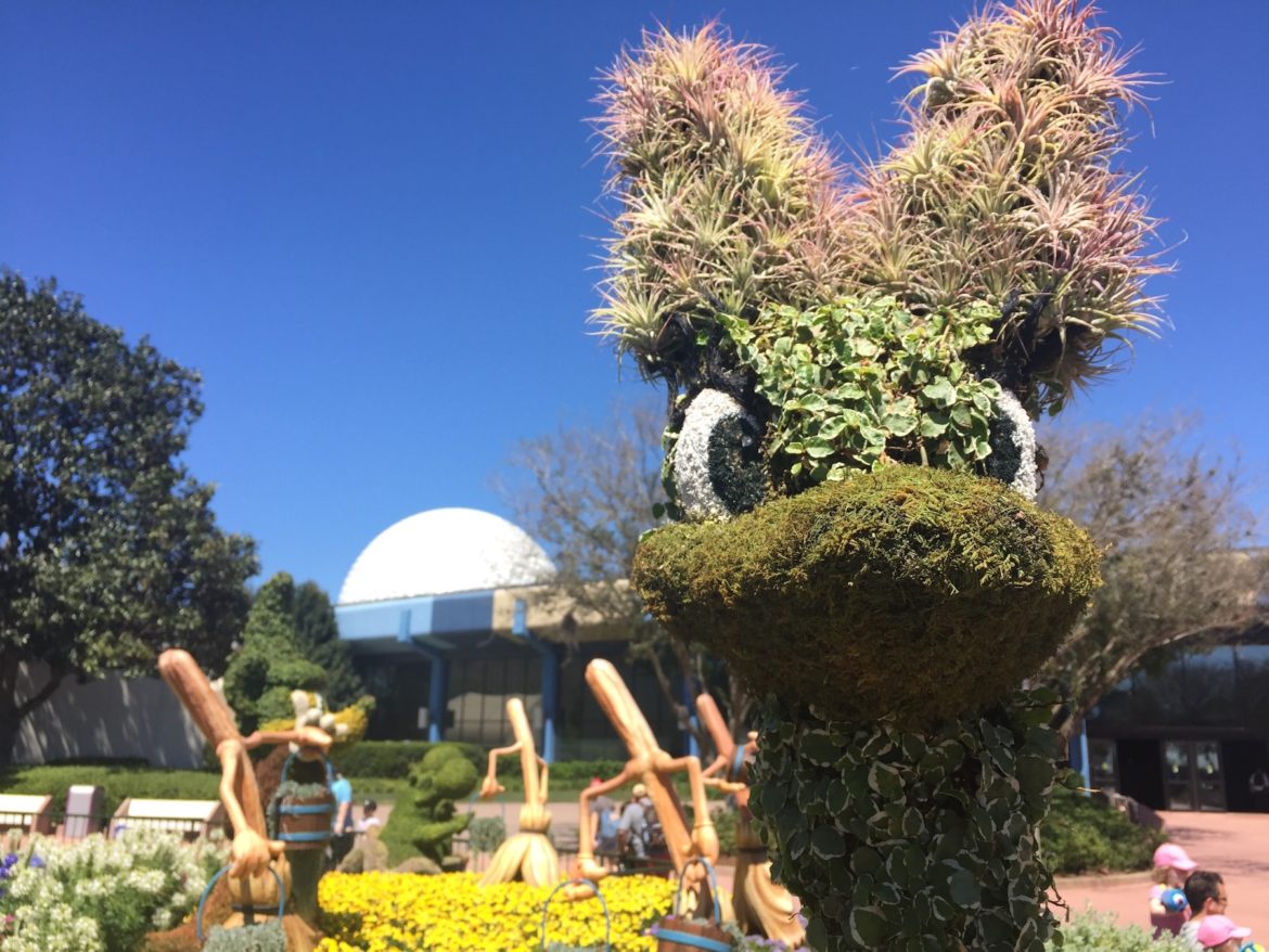 Disney World Diaries