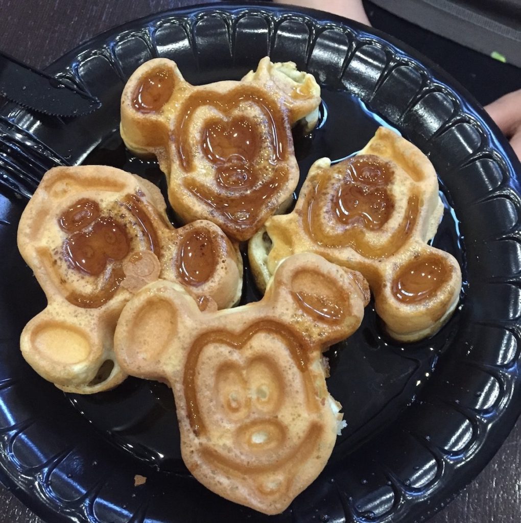 Disney World Diaries