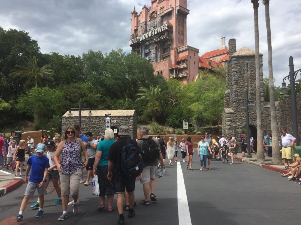 Disney World Diaries