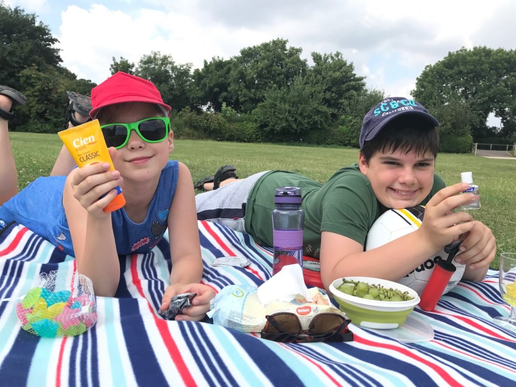Picnic