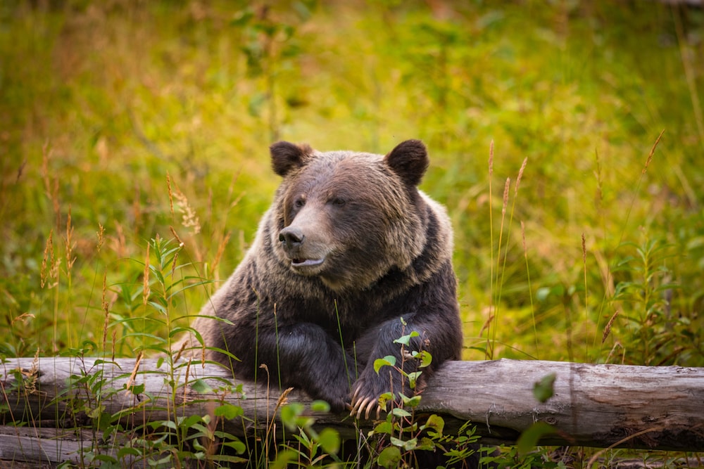 Canada on your family holiday radar 