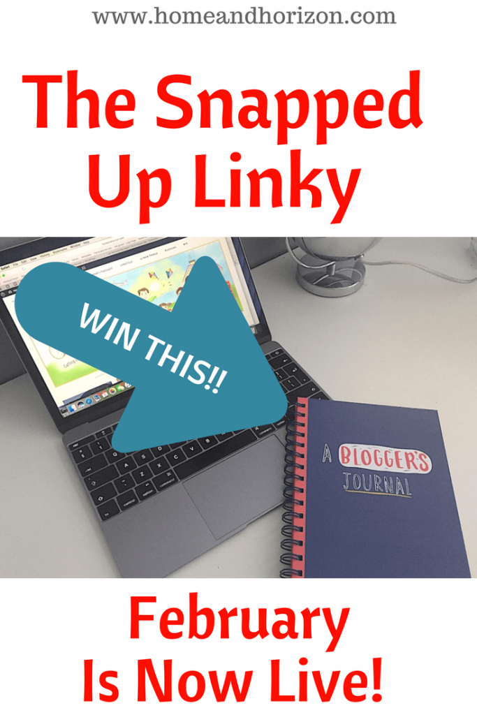 Join the Snapped Up Linky For February for the chance to win a Blogger's Journal from Paperchase! All you have to do is link up any new or old blog posts (or videos) on product reviews or shopping hauls!