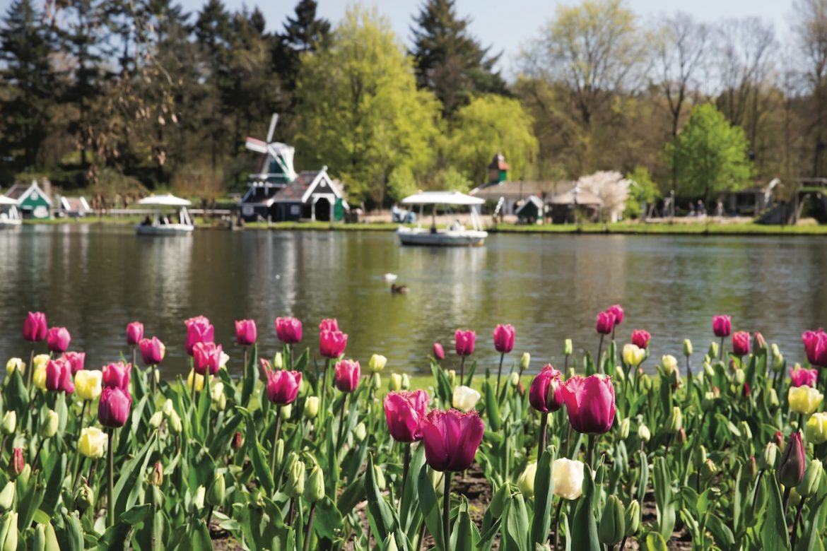 Valentine's Day Getaways
