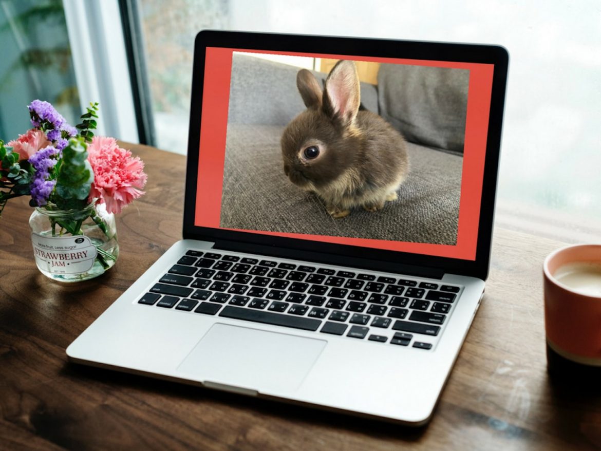 July Blogging Month