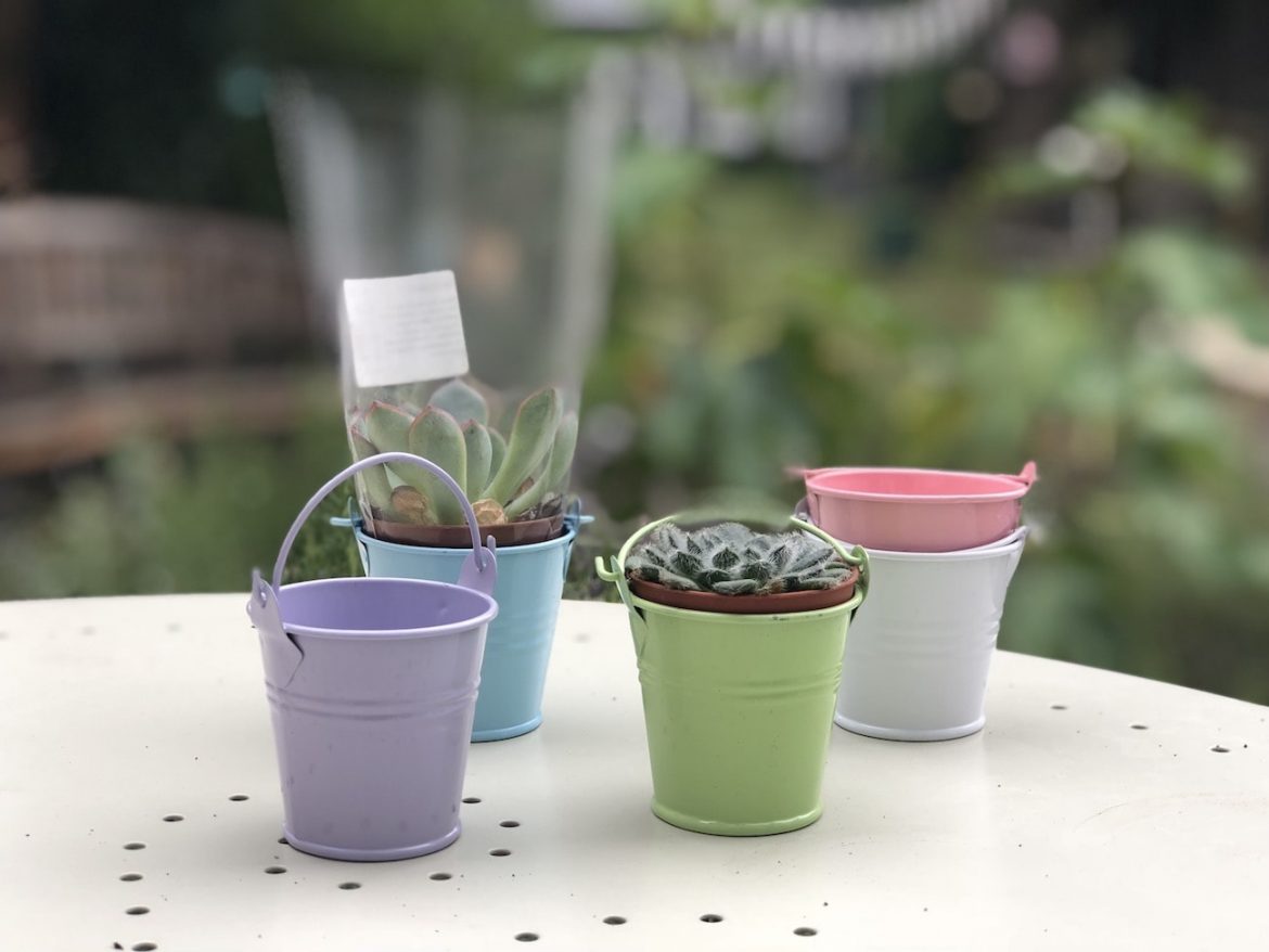 September Favourite Finds