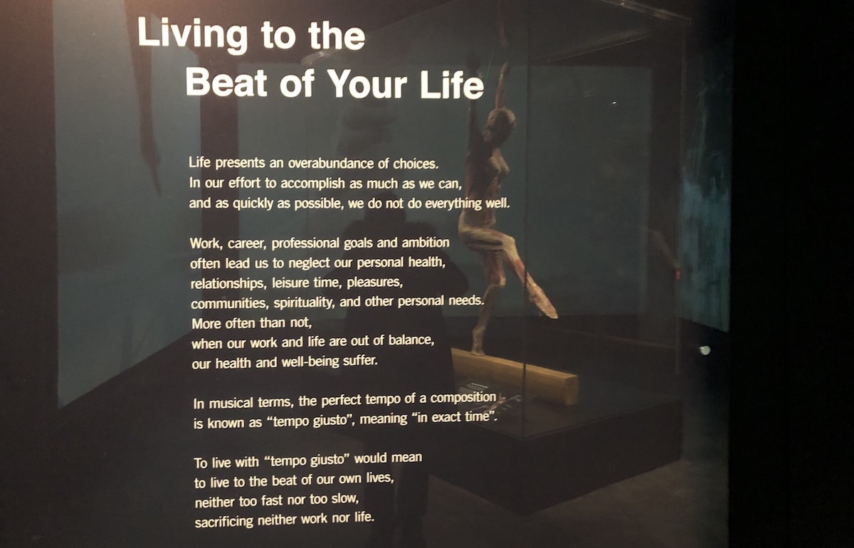 Body Worlds London Review